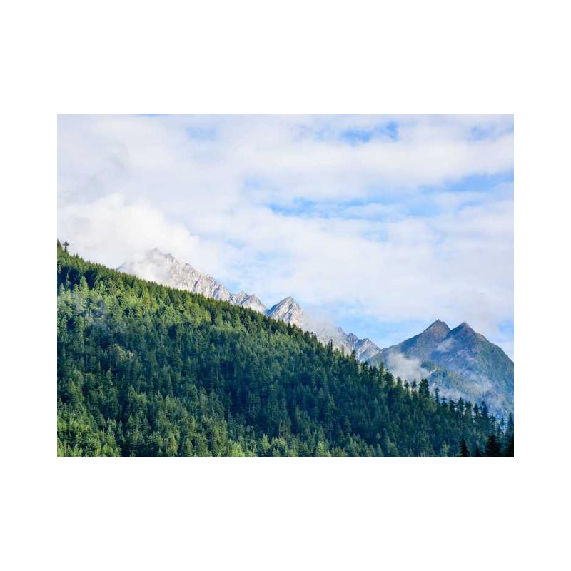 Mediocre Copper Watch fr-FR